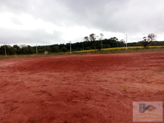 Imagem Terreno à Venda, 4.411 m² em Campo Largo Da Roseira - São José Dos Pinhais Imagem Terreno à Venda, 4.411 m² em Campo Largo Da Roseira - São José Dos Pinhais