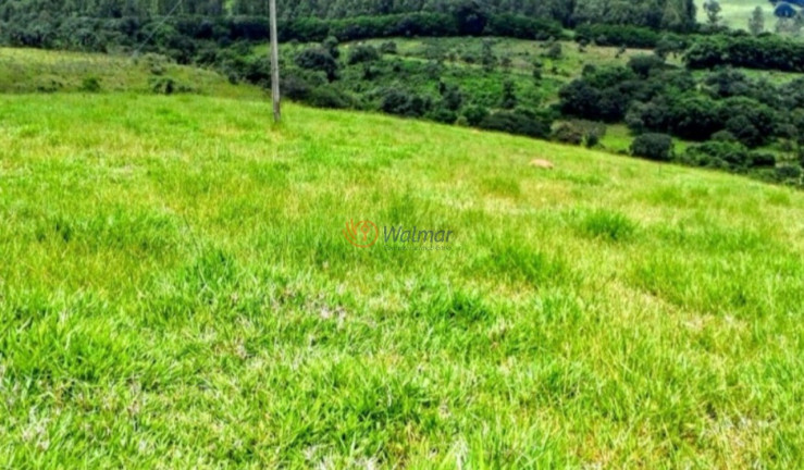 Imagem Imóvel com 3 Quartos à Venda, 320 m² em Centro - Monte Sião Imagem Imóvel com 3 Quartos à Venda, 320 m² em Centro - Monte Sião