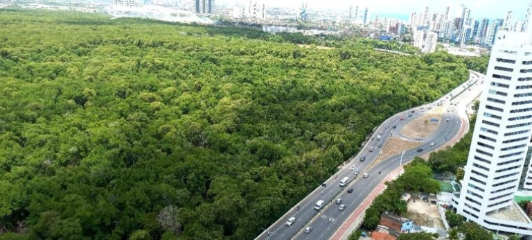 Imagem Apartamento com 4 Quartos à Venda, 137 m² em Boa Viagem - Recife