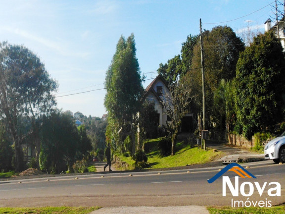 Imagem Fazenda à Venda,  em Centro - Nova Petrópolis