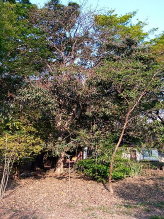 Imagem Chácara com 2 Quartos para Alugar ou Temporada, 1.512 m² em Jardim Tarantela - Jundiaí Imagem Chácara com 2 Quartos para Alugar ou Temporada, 1.512 m² em Jardim Tarantela - Jundiaí
