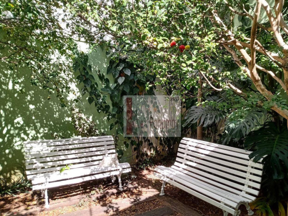 Imagem Casa com 3 Quartos à Venda, 300 m² em Ipiranga - São Paulo Imagem Casa com 3 Quartos à Venda, 300 m² em Ipiranga - São Paulo