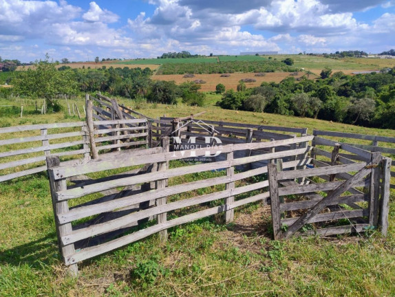 Imóvel à Venda, 20.000 m² em área Rural De Artur Nogueira - Artur Nogueira