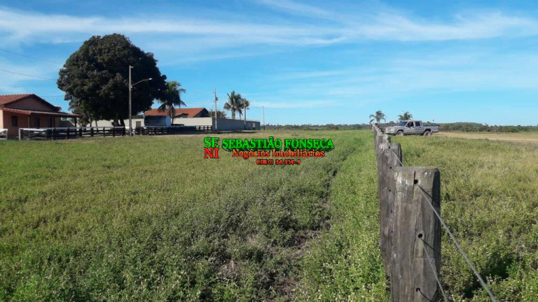 Imagem Fazenda à Venda, 1.200 m² em área Rural De Xinguara - Xinguara