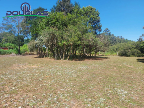 Imagem Chácara com 2 Quartos à Venda, 11.000 m² em Viamão Imagem Chácara com 2 Quartos à Venda, 11.000 m² em Viamão