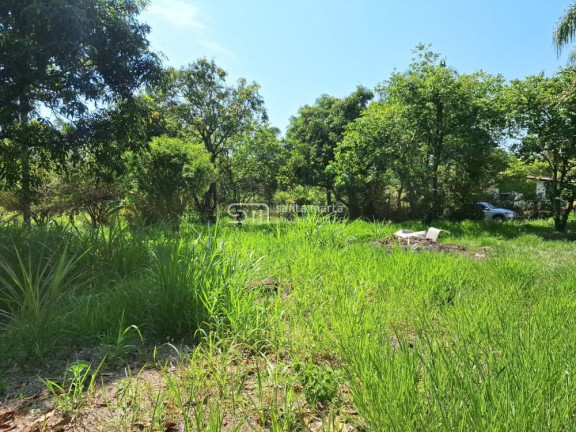 Imagem Imóvel com 2 Quartos à Venda, 2.900 m² em Embaúzinho - Cachoeira Paulista Imagem Imóvel com 2 Quartos à Venda, 2.900 m² em Embaúzinho - Cachoeira Paulista