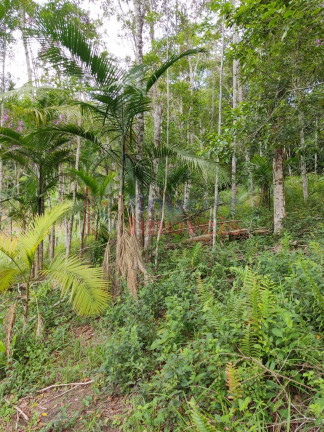 Imagem Chácara à Venda, 3.066 m² em 1º De Julho - Itapoá Imagem Chácara à Venda, 3.066 m² em 1º De Julho - Itapoá