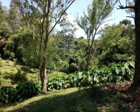 Imagem Imóvel com 4 Quartos à Venda, 88 m² em Vila Olinda - Nova Petrópolis Imagem Imóvel com 4 Quartos à Venda, 88 m² em Vila Olinda - Nova Petrópolis