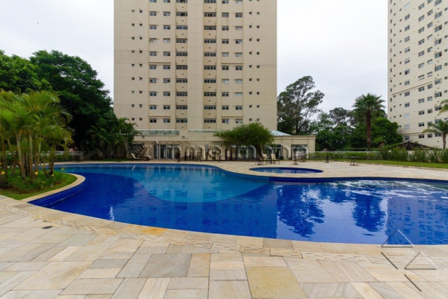 Imagem Apartamento com 4 Quartos à Venda, 213 m² em Cambuci - São Paulo Imagem Apartamento com 4 Quartos à Venda, 213 m² em Cambuci - São Paulo