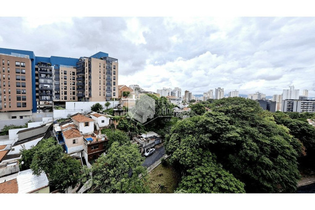 Imagem Imóvel com 3 Quartos à Venda, 185 m² em Vila Ipojuca - São Paulo Imagem Imóvel com 3 Quartos à Venda, 185 m² em Vila Ipojuca - São Paulo