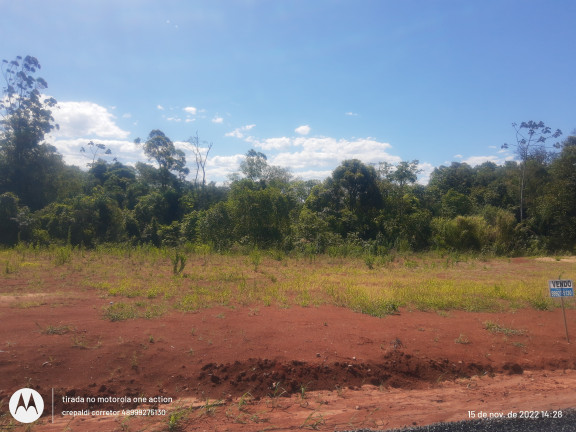 Imagem Terreno à Venda, 244 m² em Vila Nova Esperança - Criciúma Imagem Terreno à Venda, 244 m² em Vila Nova Esperança - Criciúma