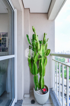 Imagem Apartamento com 3 Quartos à Venda, 55 m² em Liberdade - São Paulo