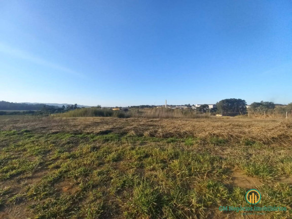 Imagem Terreno à Venda, 56.500 m² em Chácara Remanso (caucaia Do Alto) - Cotia Imagem Terreno à Venda, 56.500 m² em Chácara Remanso (caucaia Do Alto) - Cotia