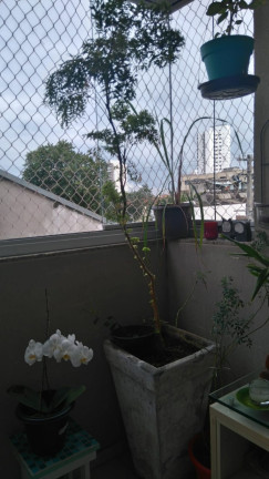 Imagem Apartamento com 3 Quartos à Venda, 65 m² em Alto Da Mooca - São Paulo
