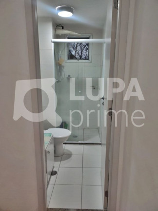 Imagem Apartamento com 2 Quartos à Venda, 43 m² em Jaraguá - São Paulo Imagem Apartamento com 2 Quartos à Venda, 43 m² em Jaraguá - São Paulo