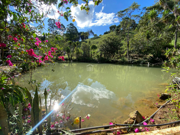 Imagem Imóvel com 3 Quartos à Venda, 15.000 m² em Amendoim - Caldas Imagem Imóvel com 3 Quartos à Venda, 15.000 m² em Amendoim - Caldas