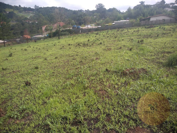 Imagem Terreno à Venda, 2.000 m² em Alpes Paulista (mailasqui) - São Roque Imagem Terreno à Venda, 2.000 m² em Alpes Paulista (mailasqui) - São Roque
