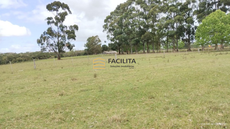 Imagem Imóvel com 2 Quartos à Venda, 180.000 m² em Povo Novo - Rio Grande Imagem Imóvel com 2 Quartos à Venda, 180.000 m² em Povo Novo - Rio Grande
