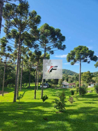 Imagem Chácara com 3 Quartos à Venda, 305.000 m² em Zona Rural - Tijucas Do Sul