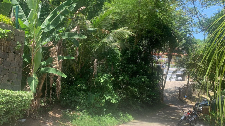 Imagem Terreno à Venda, 1.000 m² em Siriuba - Ilhabela Imagem Terreno à Venda, 1.000 m² em Siriuba - Ilhabela