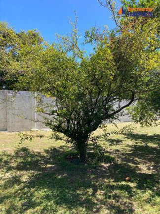 Imagem Chácara com 3 Quartos à Venda, 9 m² em Tijucussú - Cascavel