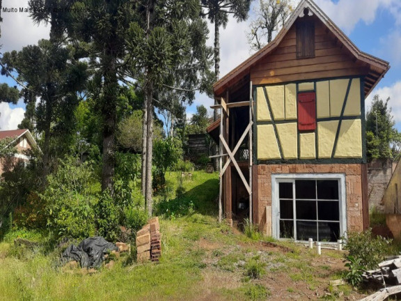 Imagem Casa com 2 Quartos à Venda, 133 m² em Recanto Do Sossego - Nova Petrópolis Imagem Casa com 2 Quartos à Venda, 133 m² em Recanto Do Sossego - Nova Petrópolis
