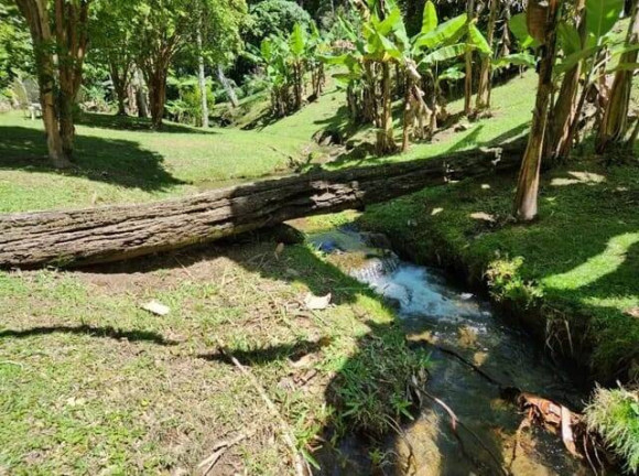 Imagem Chácara à Venda, 50 m² em Rio Bonito( Lumiar ) - Nova Friburgo