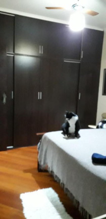 Imagem Apartamento com 3 Quartos à Venda, 100 m² em Campestre - Santo André
