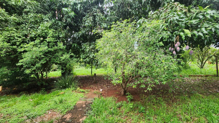 Imagem Chácara com 2 Quartos à Venda, 10.001 m² em Centro - Ibiporã