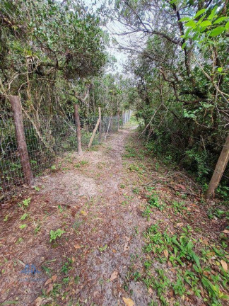 Imagem Terreno à Venda, 4 m² em Macacú - Garopaba
