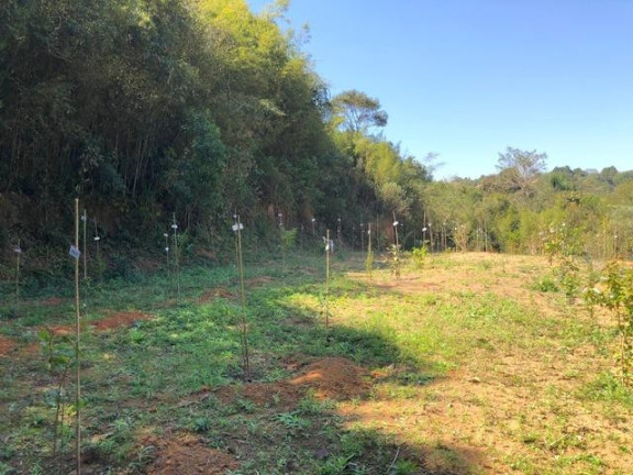 Imagem Terreno à Venda, 5.017 m² em Chácara Das Candeias - Carapicuíba Imagem Terreno à Venda, 5.017 m² em Chácara Das Candeias - Carapicuíba