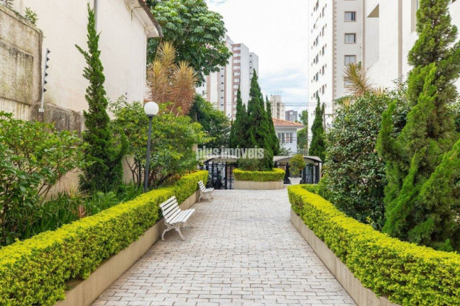 Imagem Apartamento com 3 Quartos à Venda, 83 m² em Vila Mariana - São Paulo Imagem Apartamento com 3 Quartos à Venda, 83 m² em Vila Mariana - São Paulo