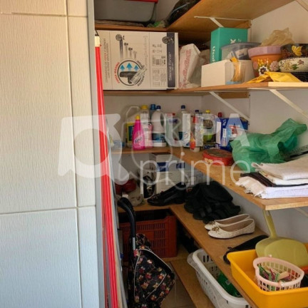 Imagem Apartamento com 2 Quartos à Venda, 53 m² em Tucuruvi - São Paulo Imagem Apartamento com 2 Quartos à Venda, 53 m² em Tucuruvi - São Paulo