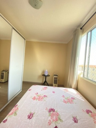 Imagem Apartamento com 2 Quartos à Venda, 42 m² em Parque Yolanda (nova Veneza) - Sumaré Imagem Apartamento com 2 Quartos à Venda, 42 m² em Parque Yolanda (nova Veneza) - Sumaré