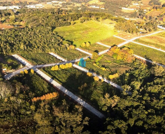 Imagem Terreno à Venda, 750 m² em Garibaldina - Garibaldi Imagem Terreno à Venda, 750 m² em Garibaldina - Garibaldi