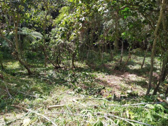 Imóvel Comercial à Venda, 10.000 m² em Estância São Paulo - Campo Limpo Paulista