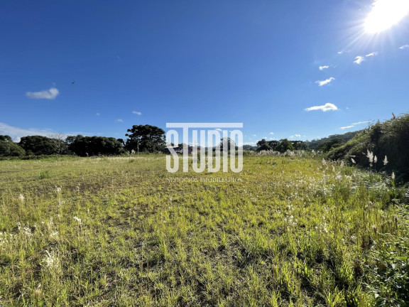 Imagem Terreno à Venda, 50.000.000 m² em Santa Clara - Carlos Barbosa Imagem Terreno à Venda, 50.000.000 m² em Santa Clara - Carlos Barbosa