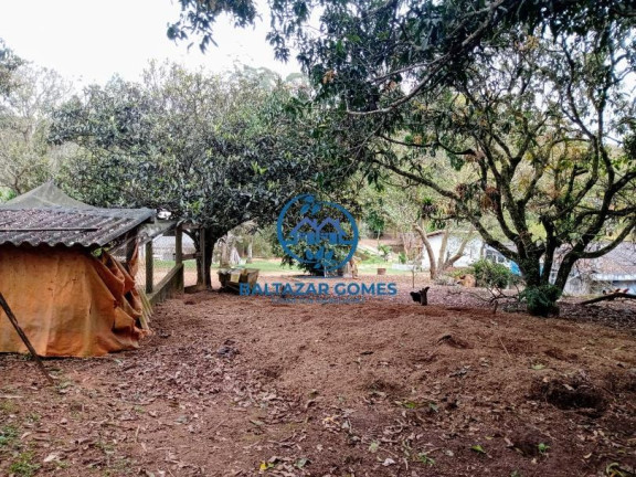 Imagem Imóvel com 5 Quartos à Venda, 16.000 m² em Cocuera - Mogi Das Cruzes