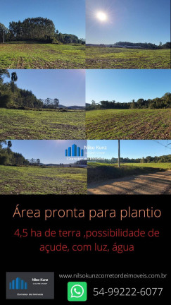 Imagem Chácara à Venda, em Bento Gonçalves Imagem Chácara à Venda, em Bento Gonçalves