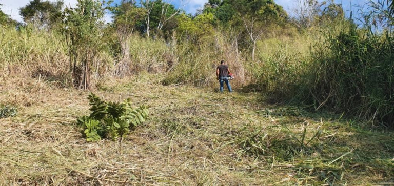 Imagem Imóvel à Venda, 3.100 m² em Guaratiba - Rio De Janeiro Imagem Imóvel à Venda, 3.100 m² em Guaratiba - Rio De Janeiro
