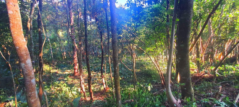 Imagem Imóvel à Venda, 282 m² em Loteamento Bosque Dos Palmares - Atibaia Imagem Imóvel à Venda, 282 m² em Loteamento Bosque Dos Palmares - Atibaia