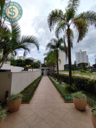 Imagem Apartamento com 2 Quartos à Venda, 53 m² em Jardim Celeste - São Paulo Imagem Apartamento com 2 Quartos à Venda, 53 m² em Jardim Celeste - São Paulo