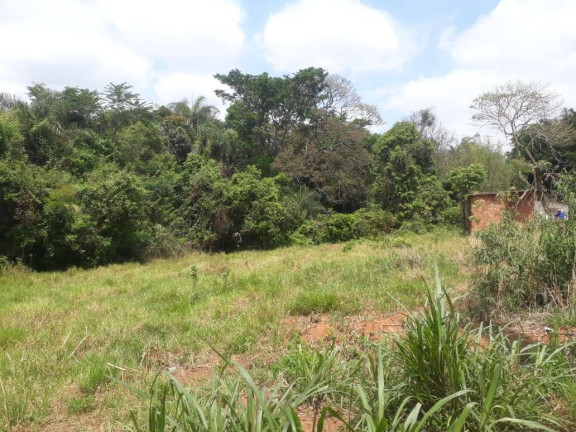 Imagem Terreno à Venda, 4.000 m² em Santa Terezinha De Minas - Itatiaiuçu Imagem Terreno à Venda, 4.000 m² em Santa Terezinha De Minas - Itatiaiuçu