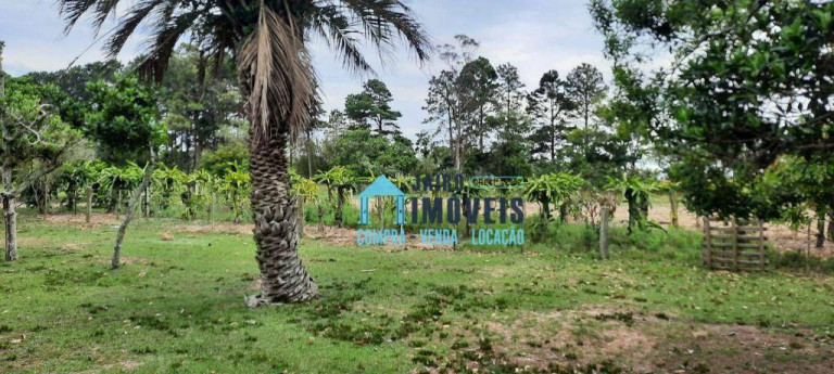 Imagem Fazenda à Venda, 60.000 m² em Rancho Velho - Capivari Do Sul Imagem Fazenda à Venda, 60.000 m² em Rancho Velho - Capivari Do Sul