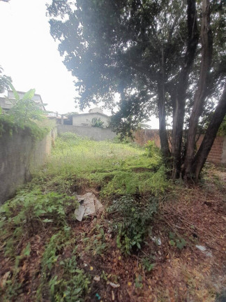Imagem Terreno à Venda, 12 m² em Praia Da Pipa - Tibau Do Sul Imagem Terreno à Venda, 12 m² em Praia Da Pipa - Tibau Do Sul