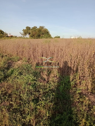 Imagem Fazenda à Venda, 53 m² em Prata Imagem Fazenda à Venda, 53 m² em Prata