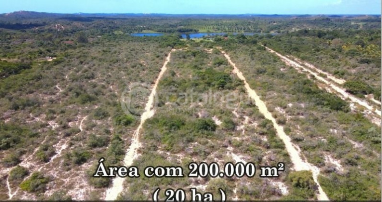 Imagem Fazenda à Venda, 200.000 m² em Pium - Nísia Floresta Imagem Fazenda à Venda, 200.000 m² em Pium - Nísia Floresta