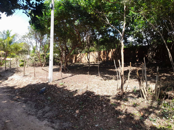 Imagem Terreno à Venda, 420 m² em Imediações Do Anel Viário De Pipa - Tibau Do Sul Imagem Terreno à Venda, 420 m² em Imediações Do Anel Viário De Pipa - Tibau Do Sul