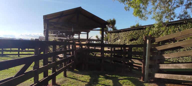 Imagem Chácara com 4 Quartos à Venda, 63 m² em Jardim Marabá - Itapetininga