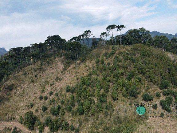 Imagem Imóvel à Venda, 20.000 m² em Zona Rural - Alfredo Wagner Imagem Imóvel à Venda, 20.000 m² em Zona Rural - Alfredo Wagner